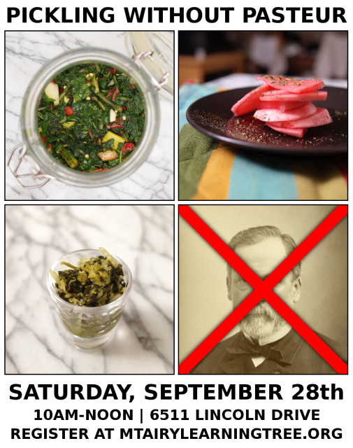 Fall Workshop: Pickling Without Pasteur